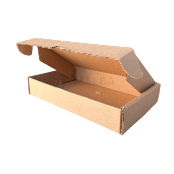 CAIXA DE PAPELÃO 29x21x9 (CM)